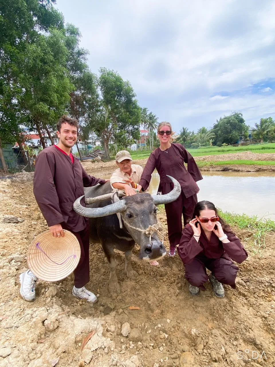 Riding a water buffalo through Hoi An rice paddies