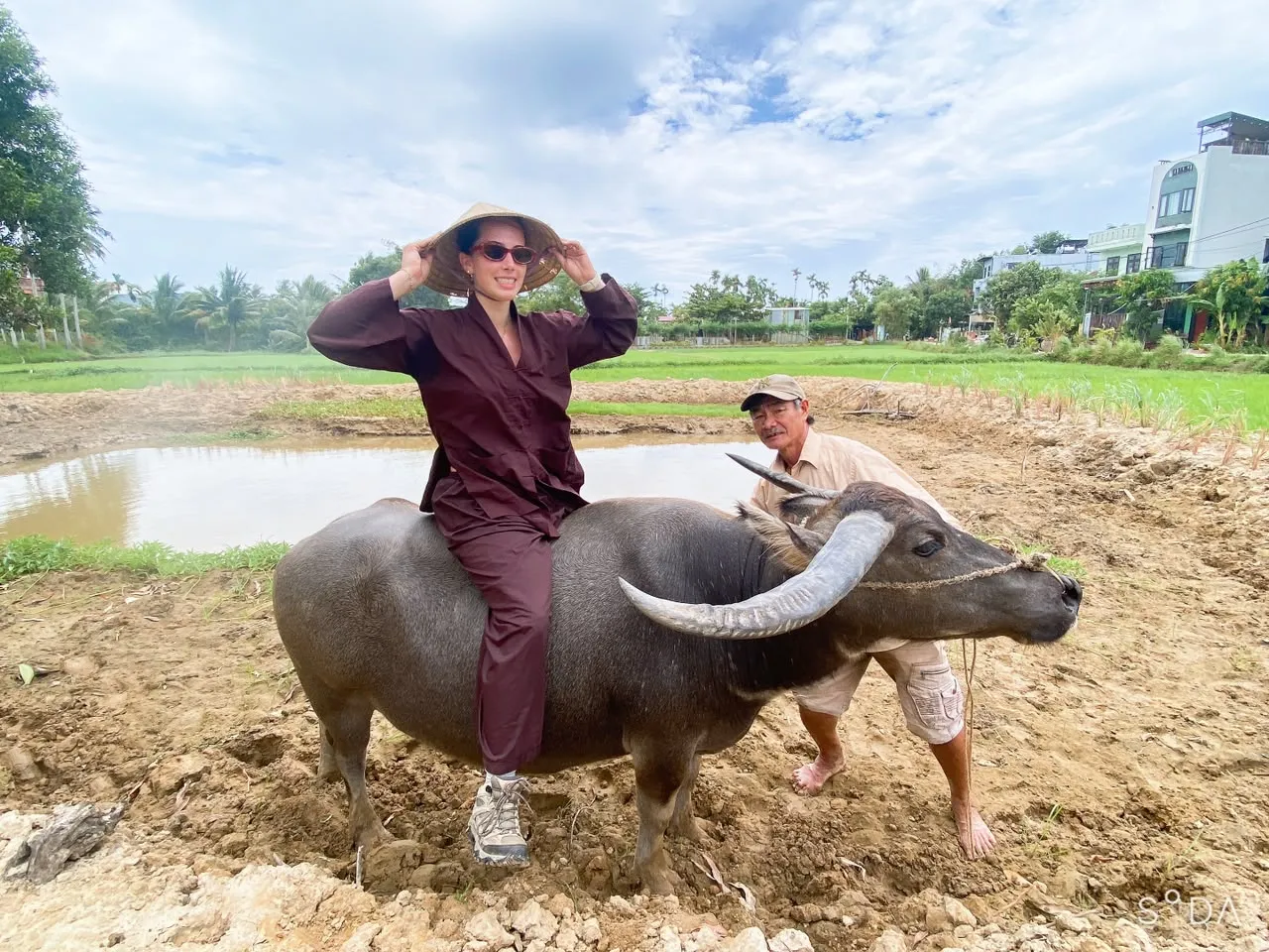 Feeding and bonding with water buffalo