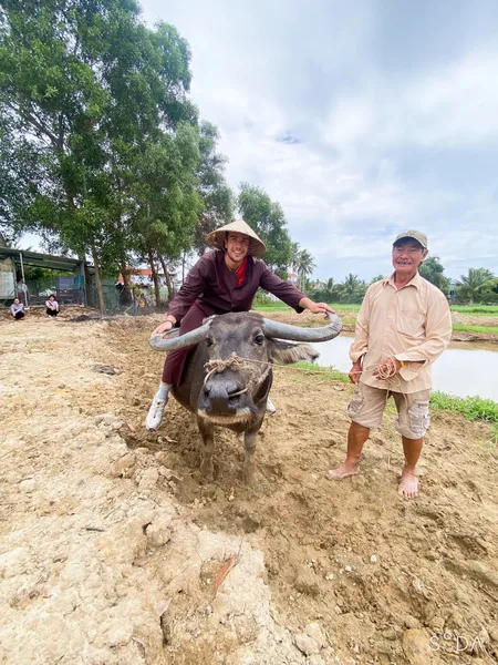 Hand-feeding a water buffalo